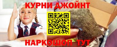 индика Кулебаки
