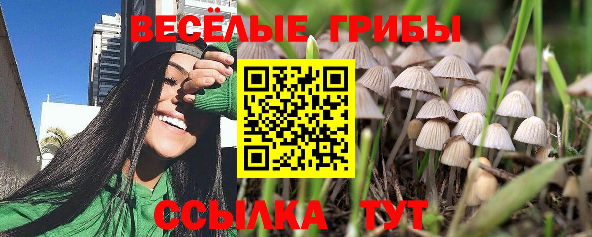 Меф мяу мяу Звенигород