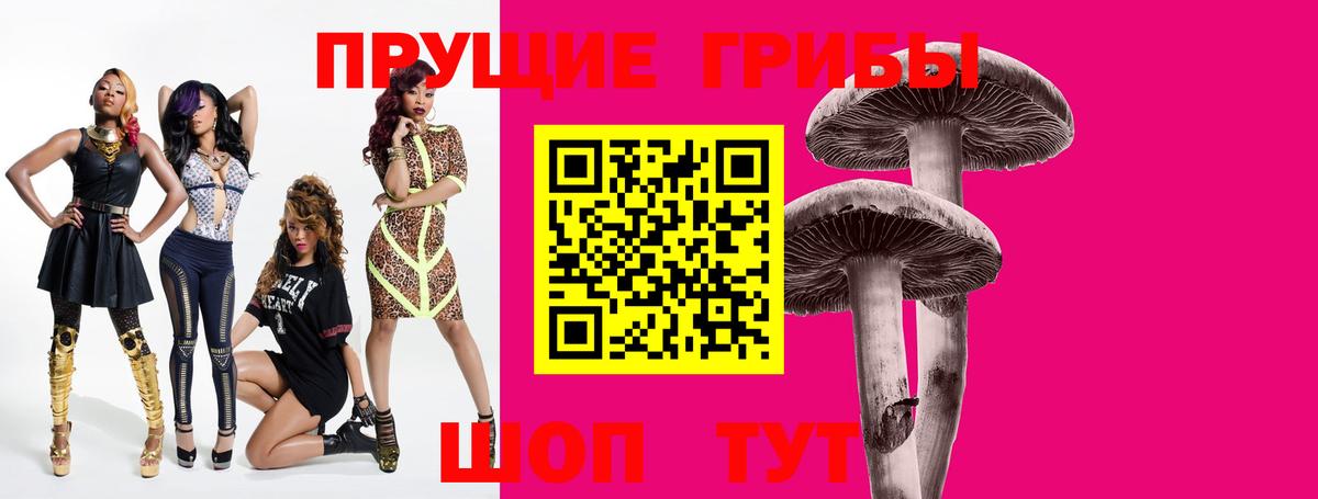 Псилоцибиновые грибы Psilocybe  Вход с VPN  Псилоцибиновые грибы Magic Shrooms  Звенигород 